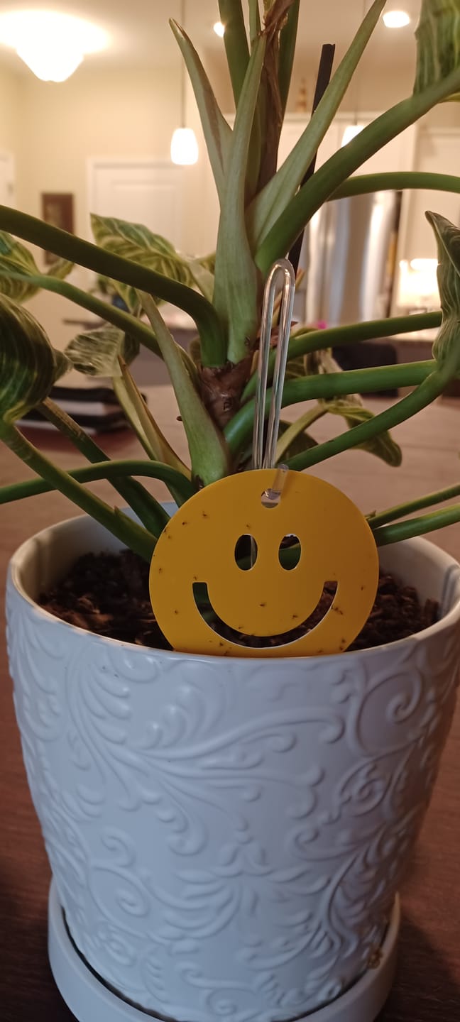 Customer photo review of Killer Smiles