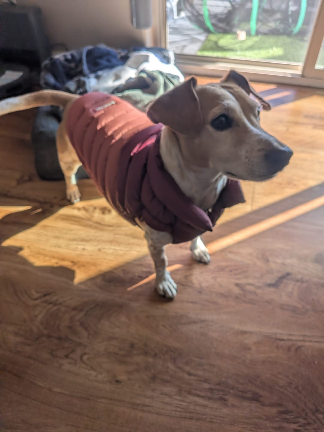 Customer photo review of PuffShield Winter Jackets