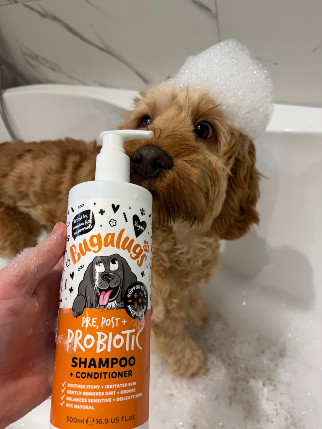 Customer photo review of Pre, Post + Probiotic Shampoo for Dogs