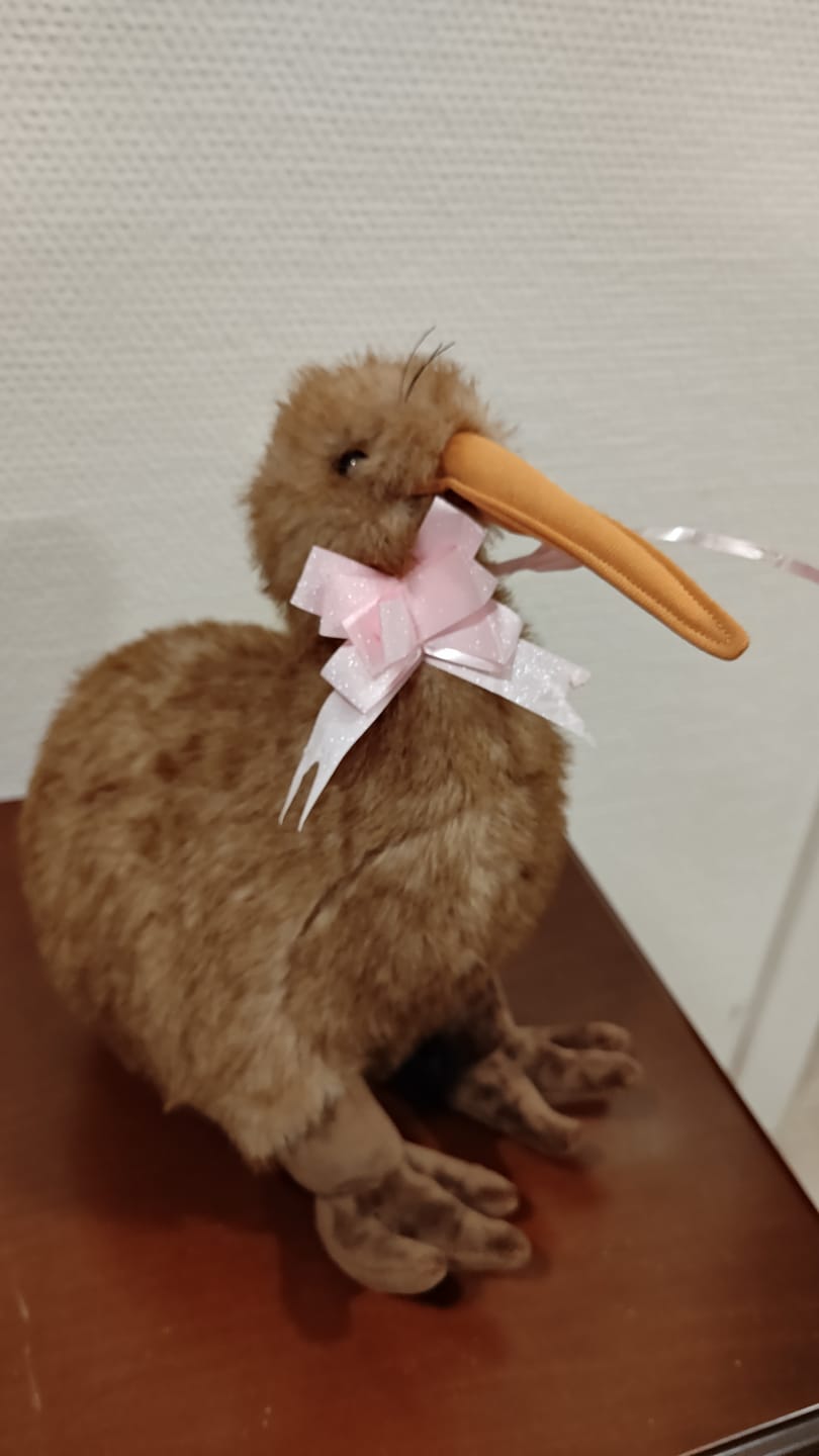 Customer photo review of Realistic Kiwi Bird Plush Toy – Soft and Adorable Stuffed Animal