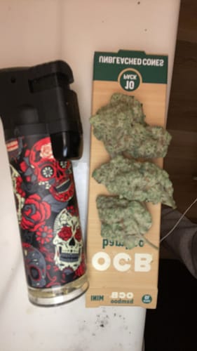 Customer photo review of Frosty OG THCA Flower