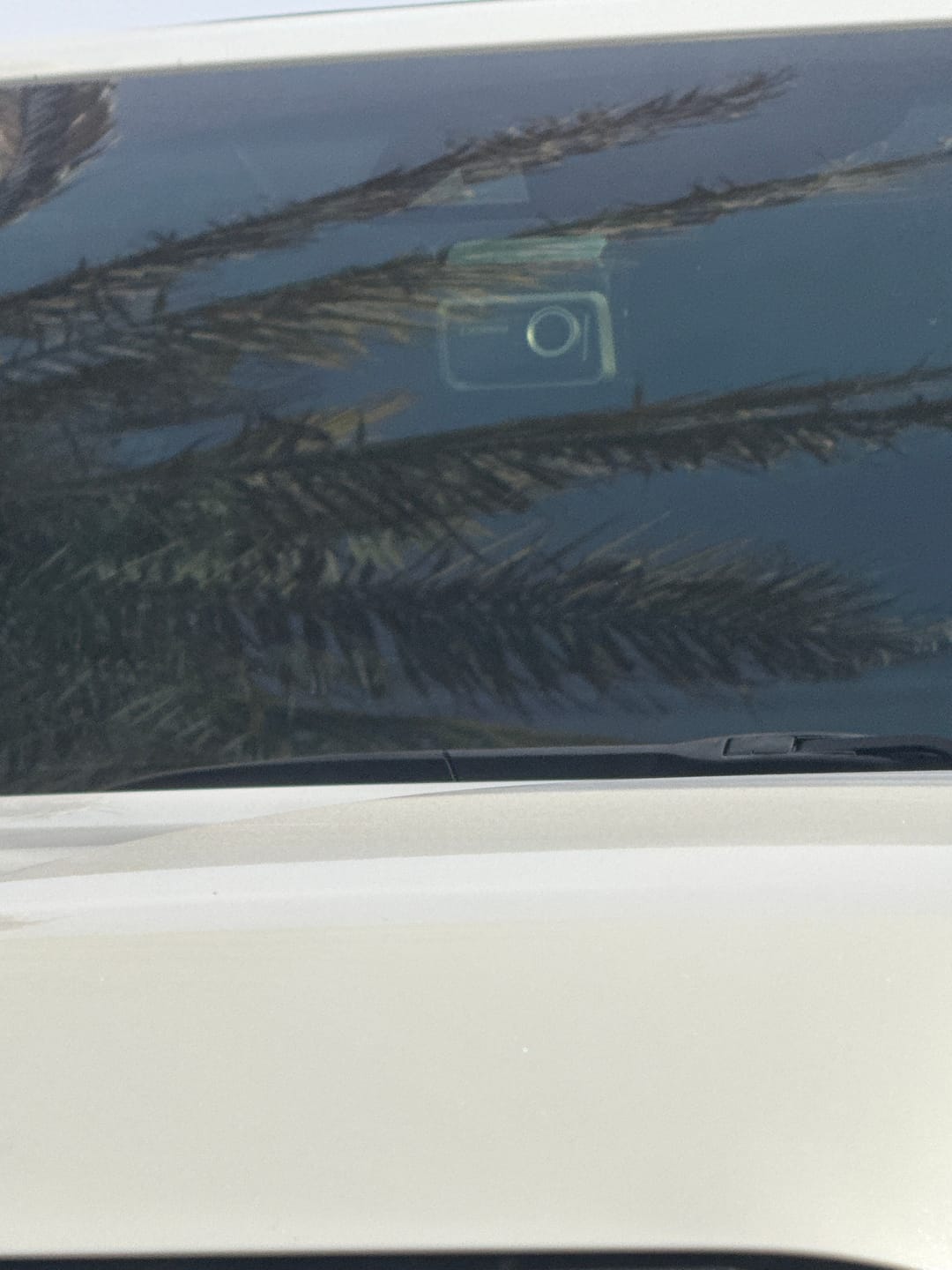 Customer photo review of Z90 Master (New)
