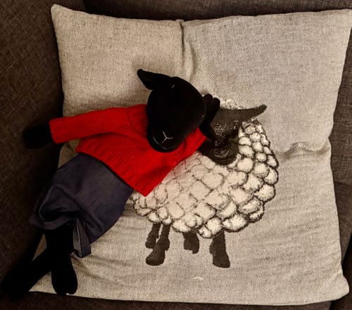 Customer photo review of MAIA LA BREBIS - L