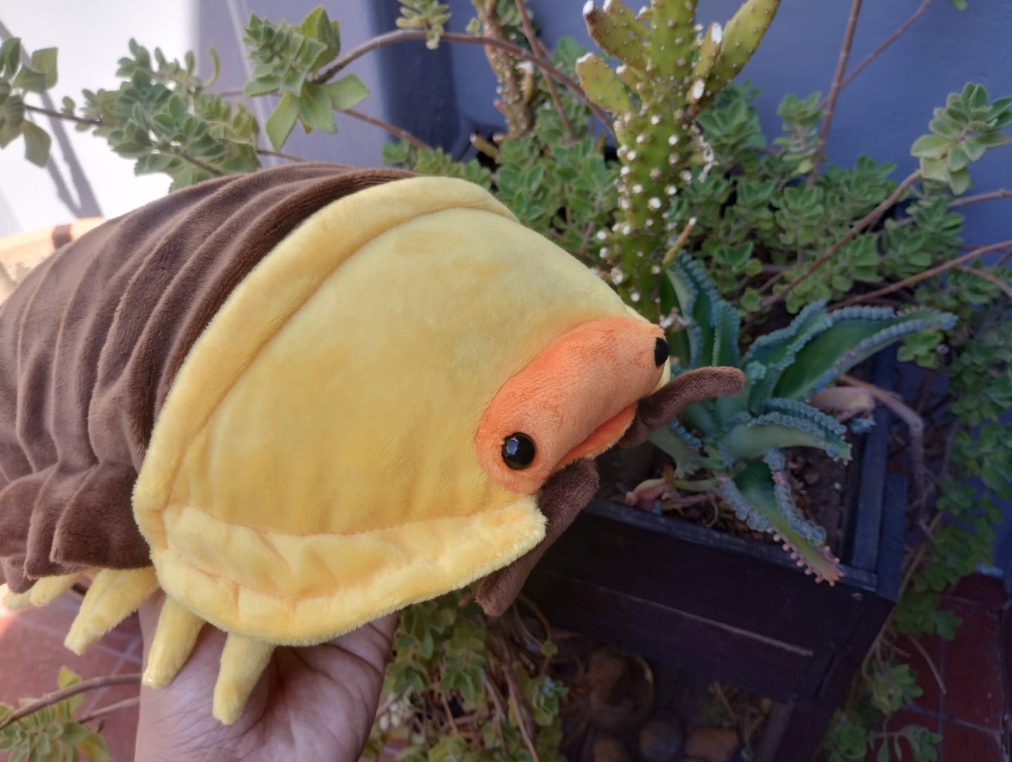Customer photo review of Roly-poly Bug Soft Stuffed Plush Toy