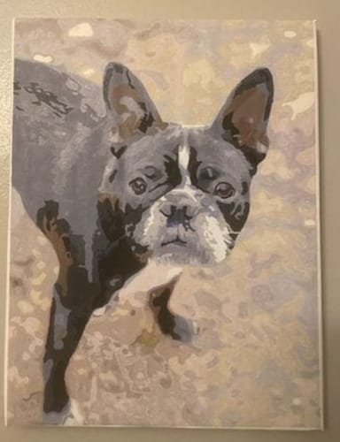 Customer photo review of Custom Pet Paint By Numbers