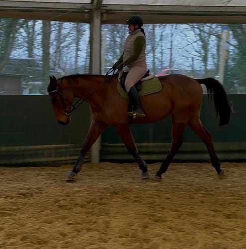 Svenja im BalanceBra beim Reiten
