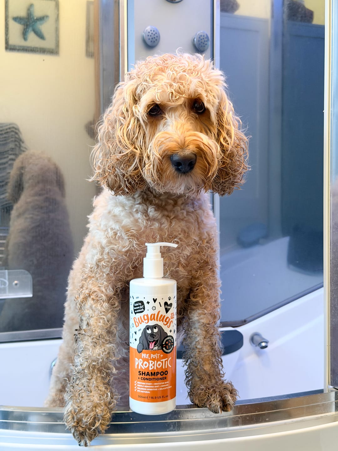 Customer photo review of Pre, Post + Probiotic Shampoo for Dogs