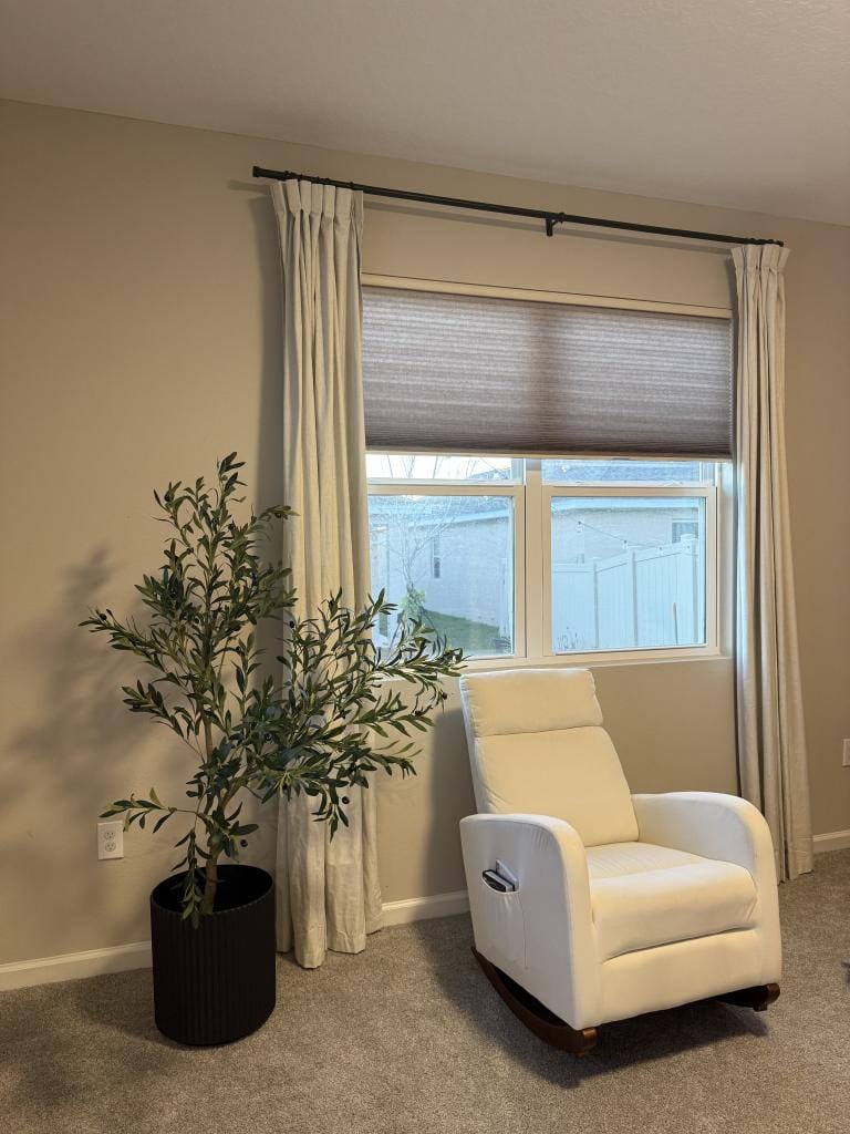 Customer photo review of Single-Layer Honeycomb Shades Blackout & Light Filtering