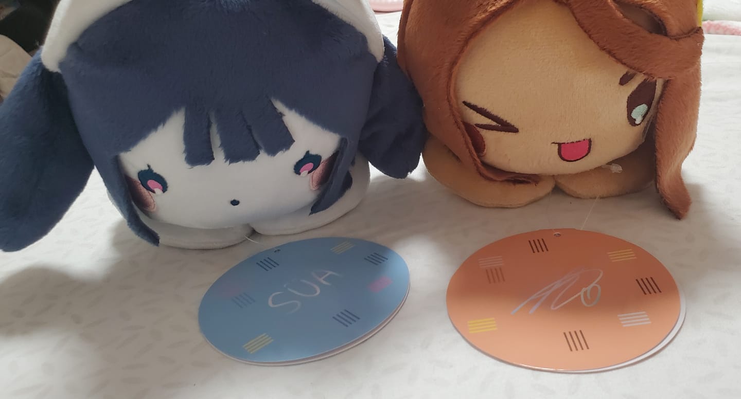 Customer photo review of Alien Stage Rabbit Series Plush Doll