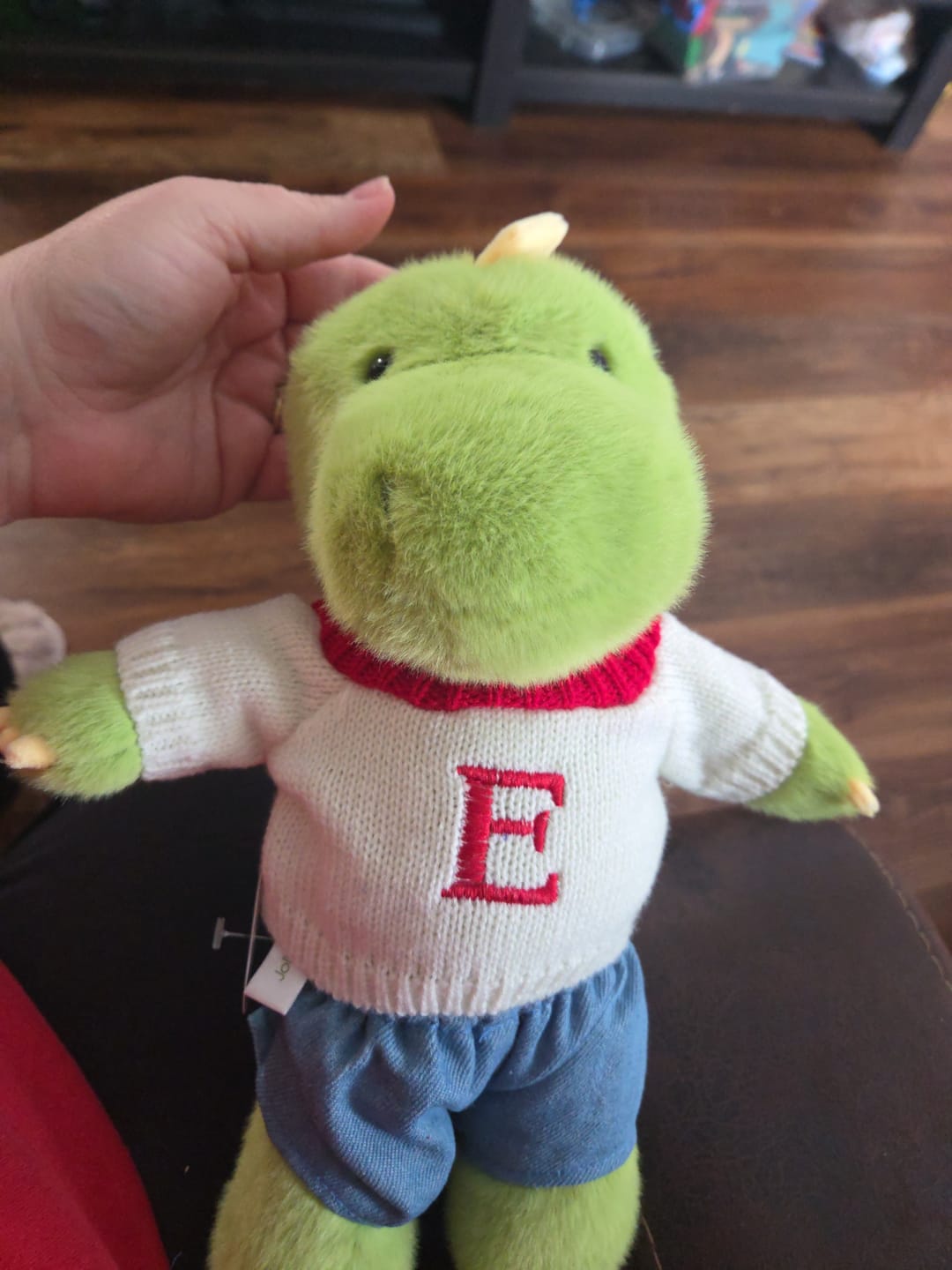 Customer photo review of Personalized Valentine's Day Outfits - for Jollyhugs Plushies
