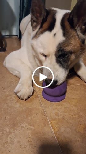 Customer video review of Freezball - Durable Fillable Dog Chew Bone