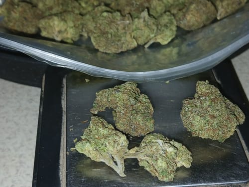 Customer photo review of THCA Queen