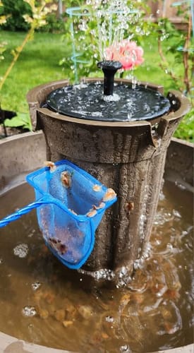 Customer photo review of Two Button Fountain Pump and Battery Compartment - no connection port