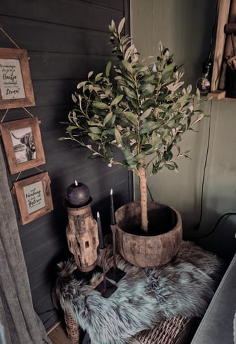 Customer photo review of Kunst Olijfboom 100cm