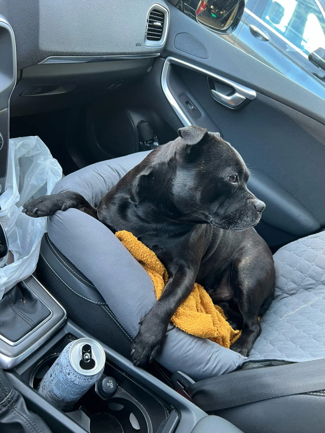 CozyRide customer review photo