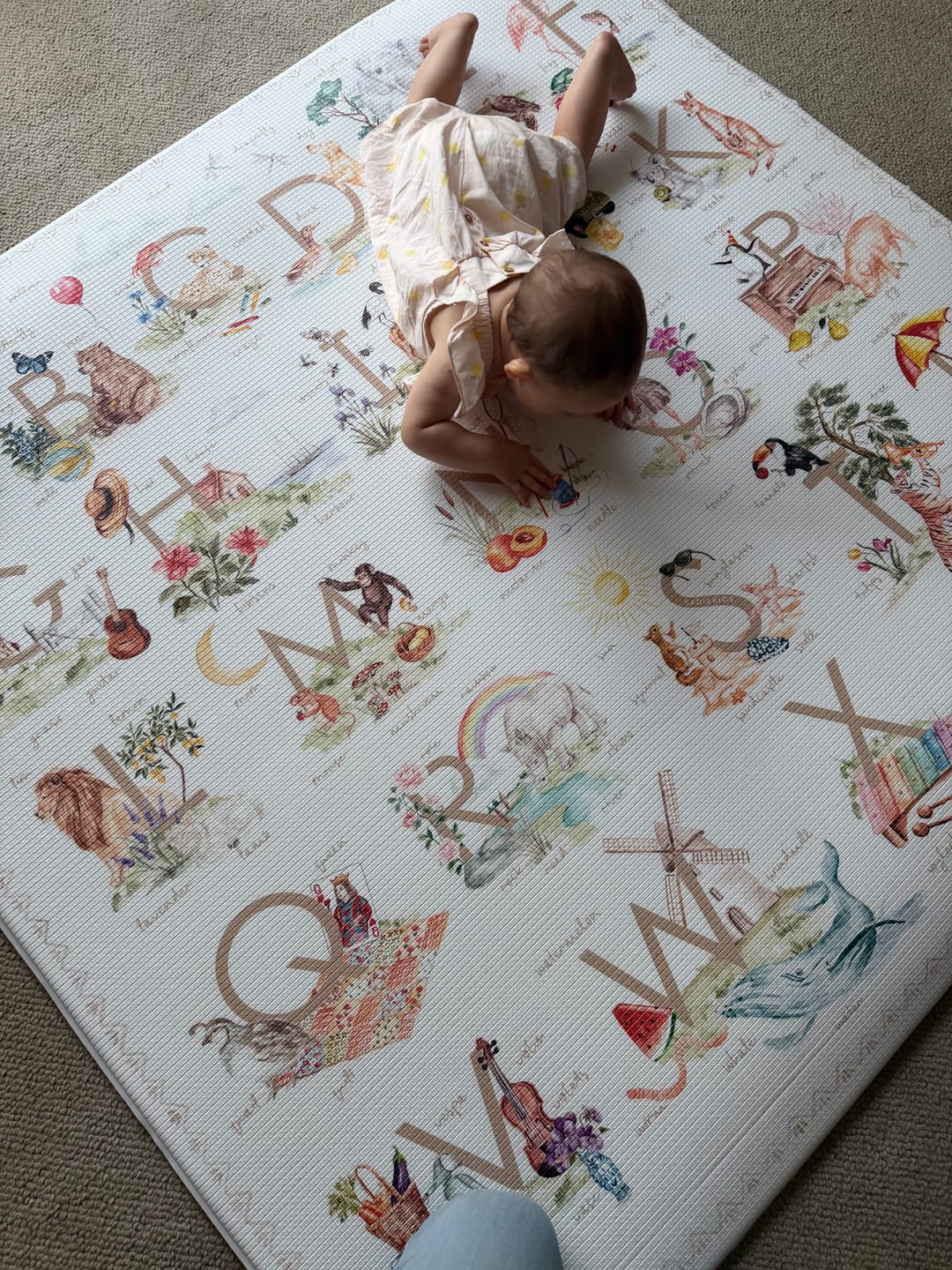 Customer photo review of Storybook Neutral / Checkered