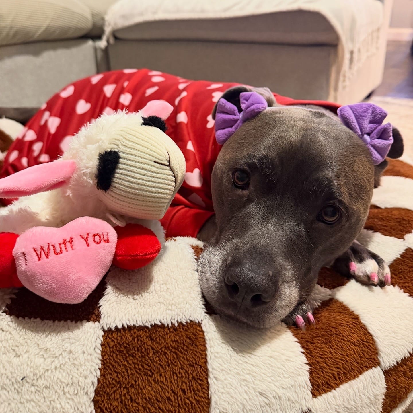 Customer photo review of Dog Pajama - Red Hearts