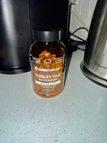 Reviewer's amber bottle of Turkey Tail Mushroom capsules on a kitchen countertop.
