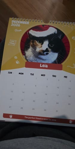 Customer photo review of Official Pupvote Cutest Pets of the Year Calendar (2026)