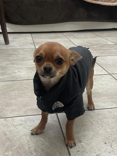 Customer photo review of Piumino "The Dog Face" Nero Personalizzabile con nome