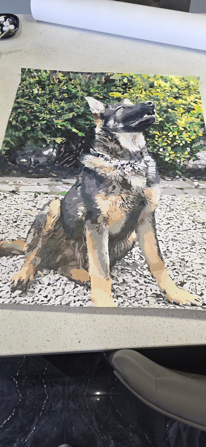 Customer photo review of Custom Paint By Numbers