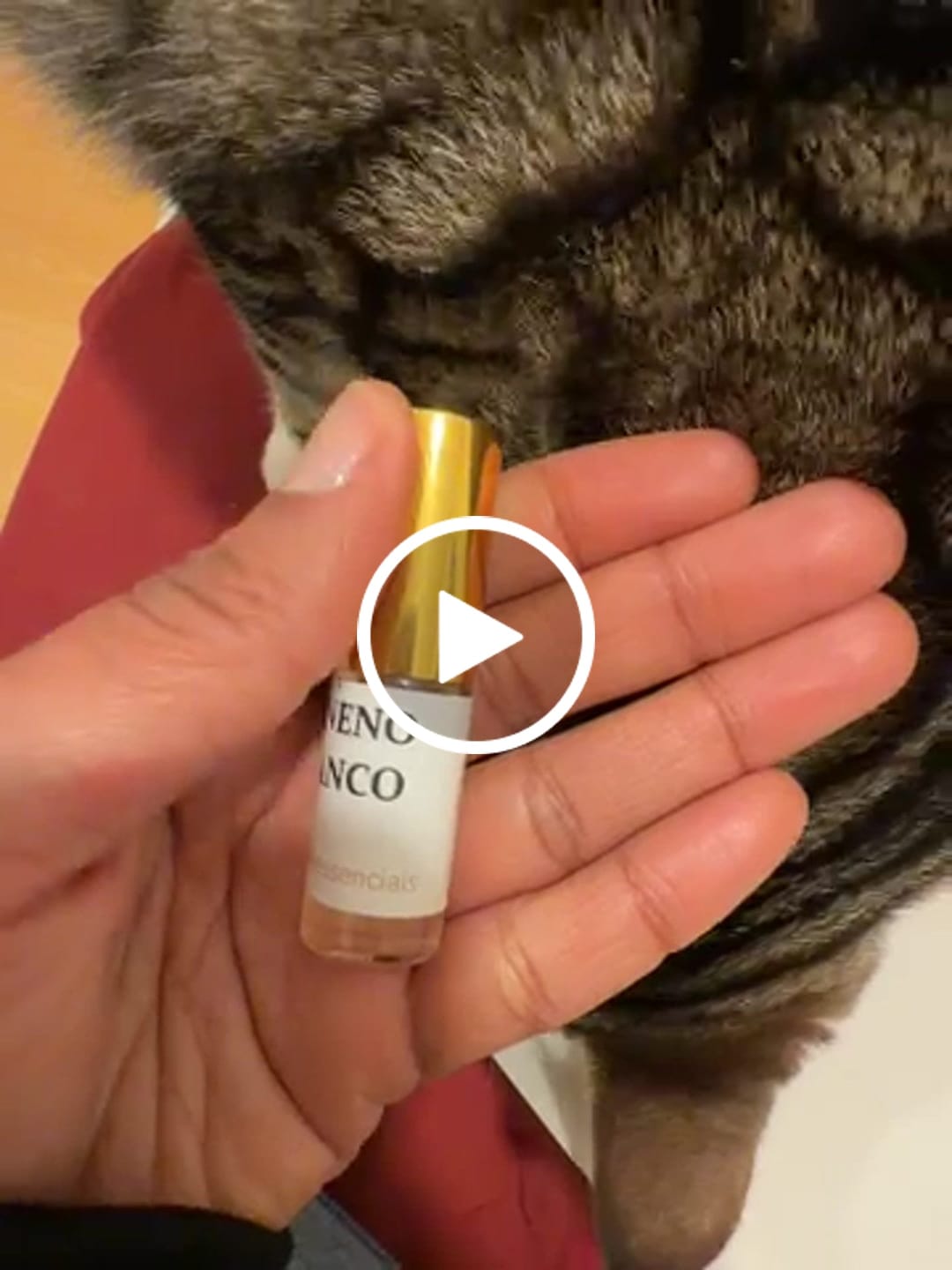 Customer video review of DECANTE VENENO BIANCO FRENCH AVENUE - 5ML