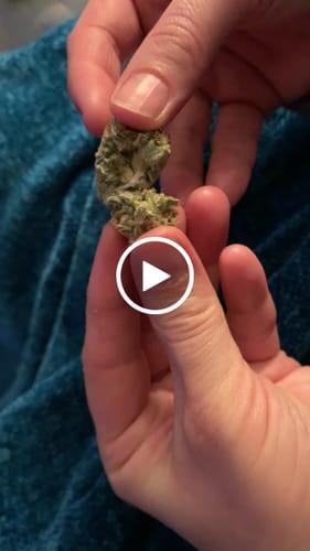 Customer video review of White Runtz