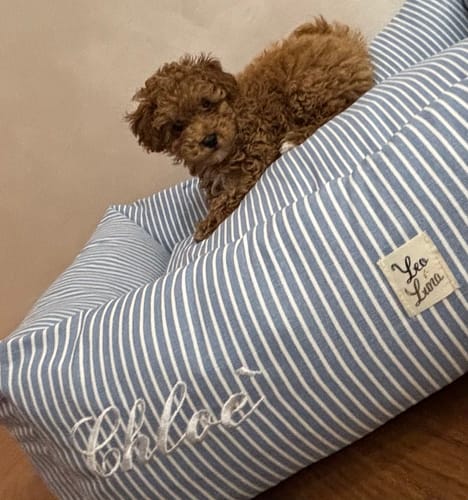 Customer photo review of Divanetto Cotone Premium Riga Azzurro Denim