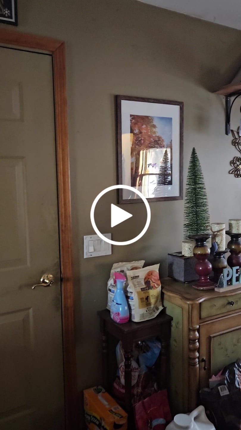 Customer video review of Las Trancas - Jerry Garcia - Studio Series