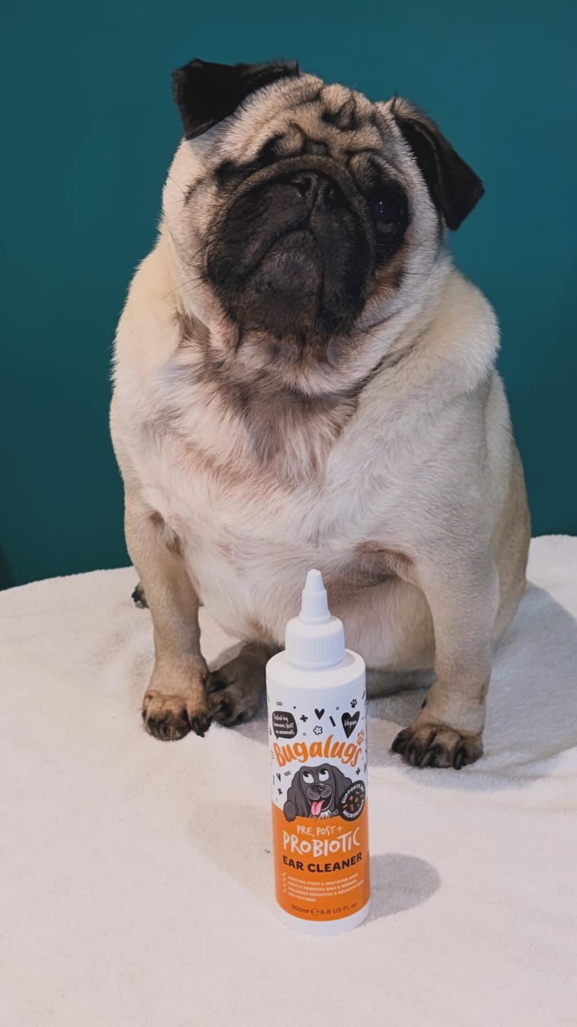 Customer photo review of Pre, Post + Probiotic Ear Cleaner for Dogs