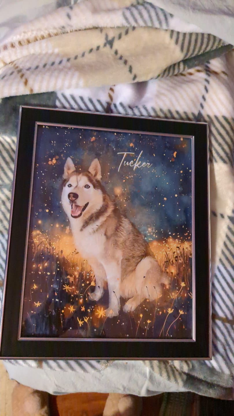 Customer photo review of Pet Portrait Wall Art - The Celestial