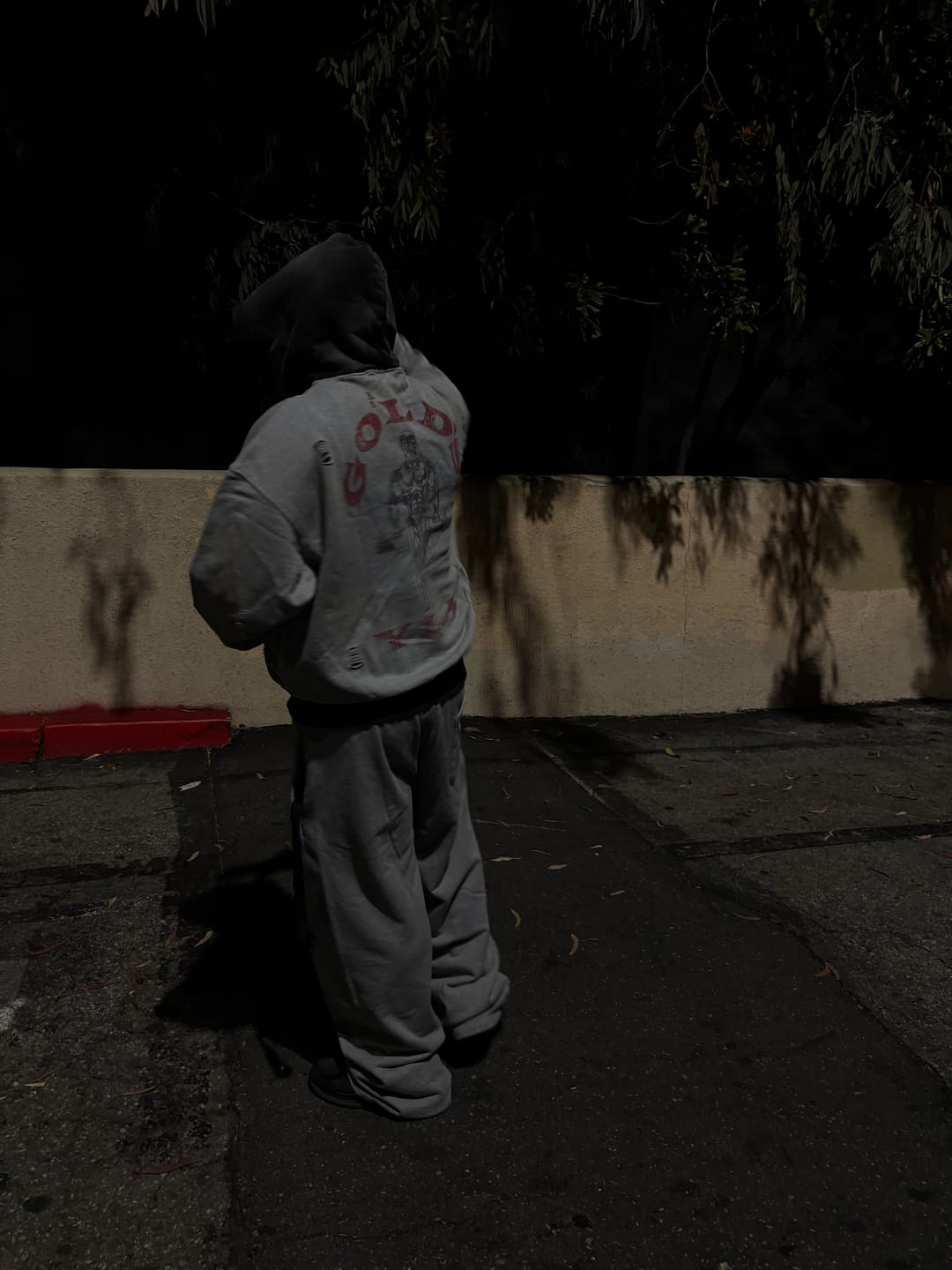 Customer photo review of 5168 - Gold's Iron Legacy Distress Hoodies