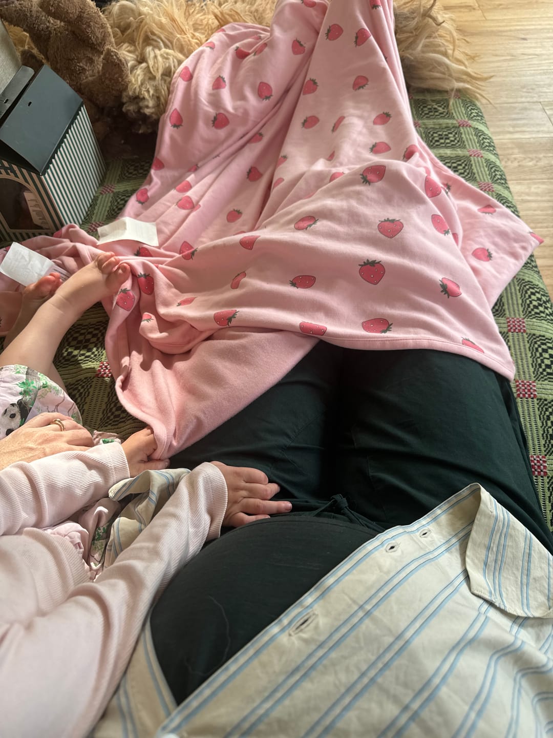 Customer photo review of Toddler Blanket, 4 Season® Merino Wool & Organic Cotton Blanket, 52.5" x 40", Strawberry