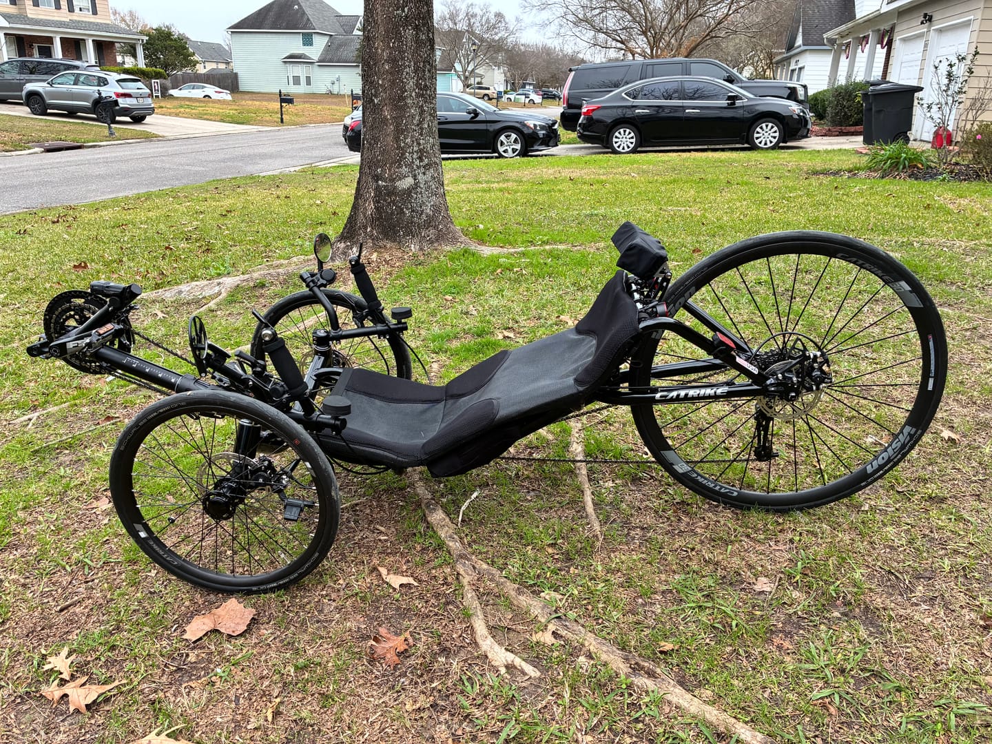 Customer photo review of Catrike Neckrest Conversion Kit