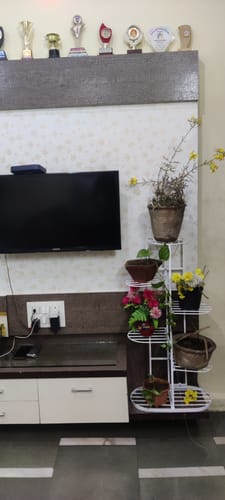 Customer photo review of UnitedCrafts MILO 6 Tier Metal Plant Stand -7 Potted Multiple Shelves