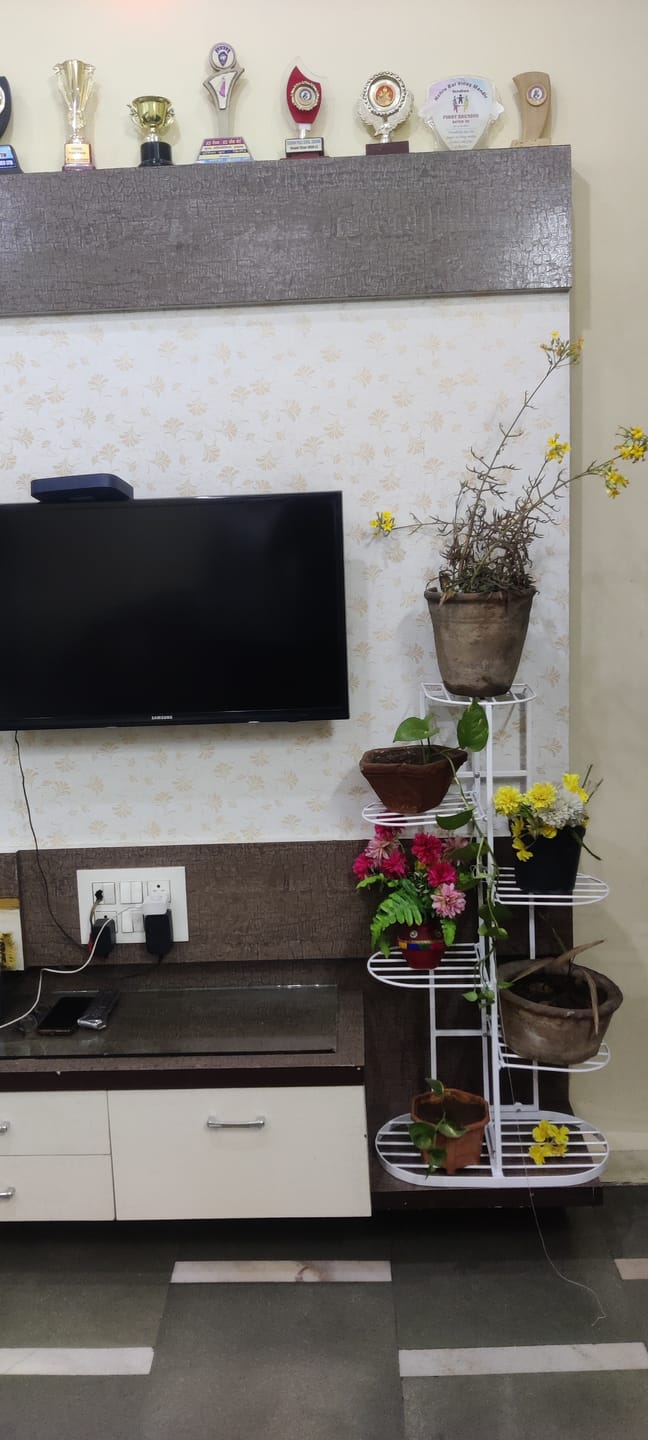 Customer photo review of UnitedCrafts MILO 6 Tier Metal Plant Stand -7 Potted Multiple Shelves