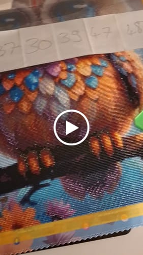 Customer video review of 5D Diamond Painting – Baby Eule