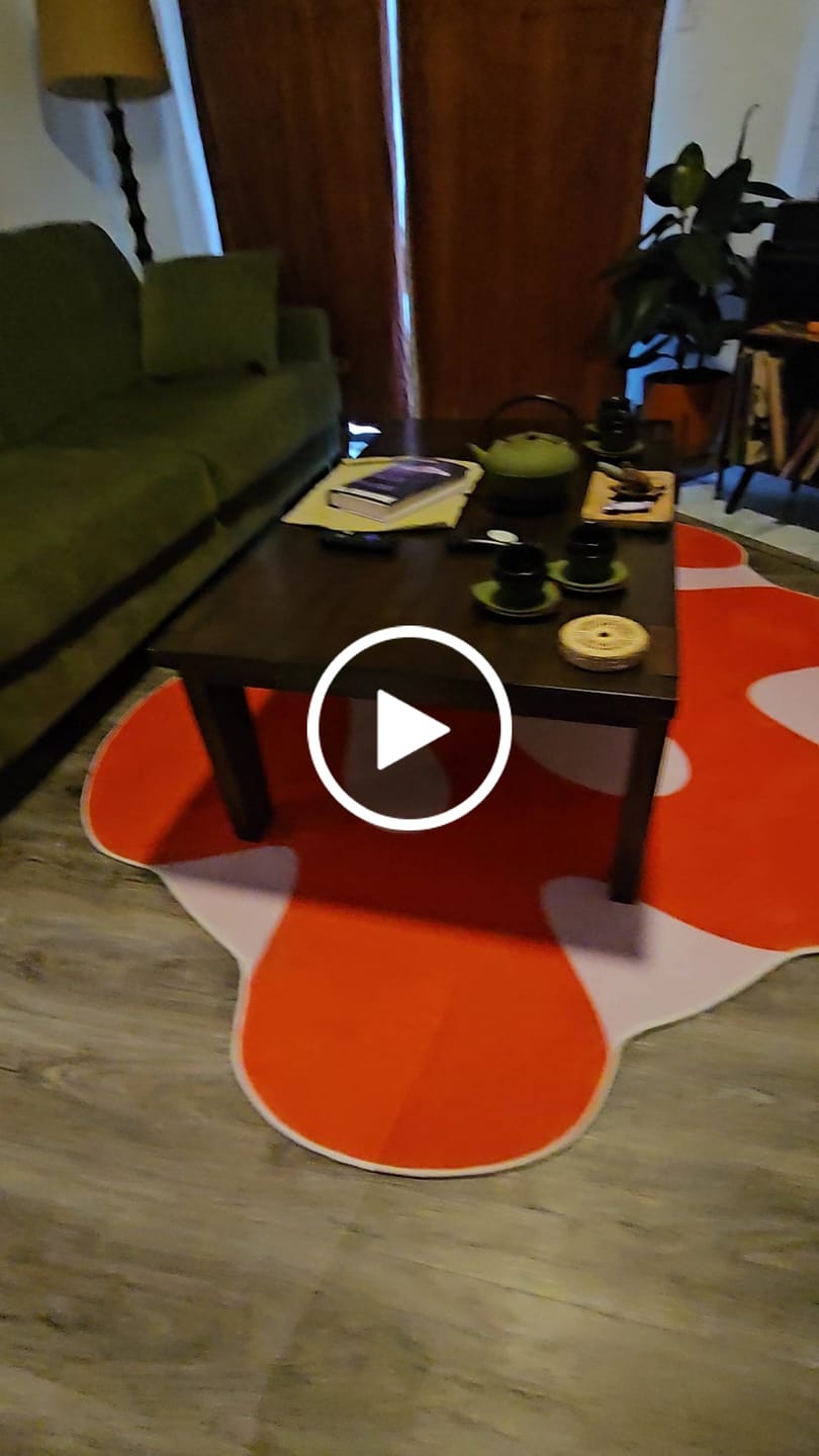 Customer video review of Irregular Orange Moss Design Rug by Johann Banta