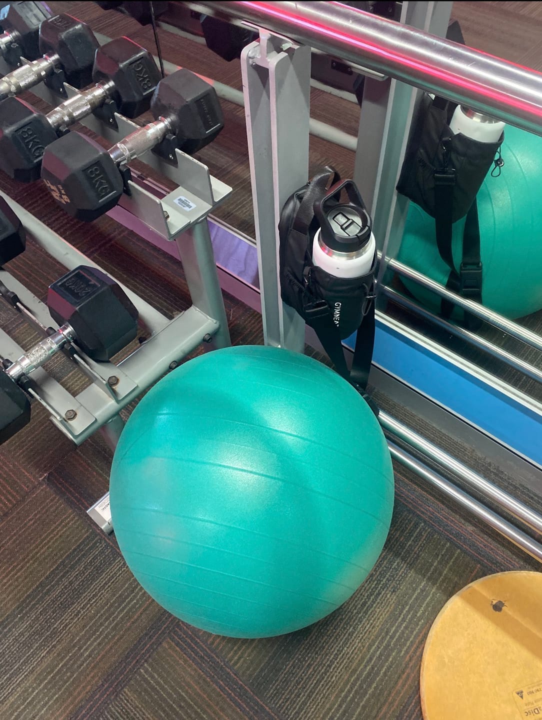 Customer photo review of Magnetic Gym Bag