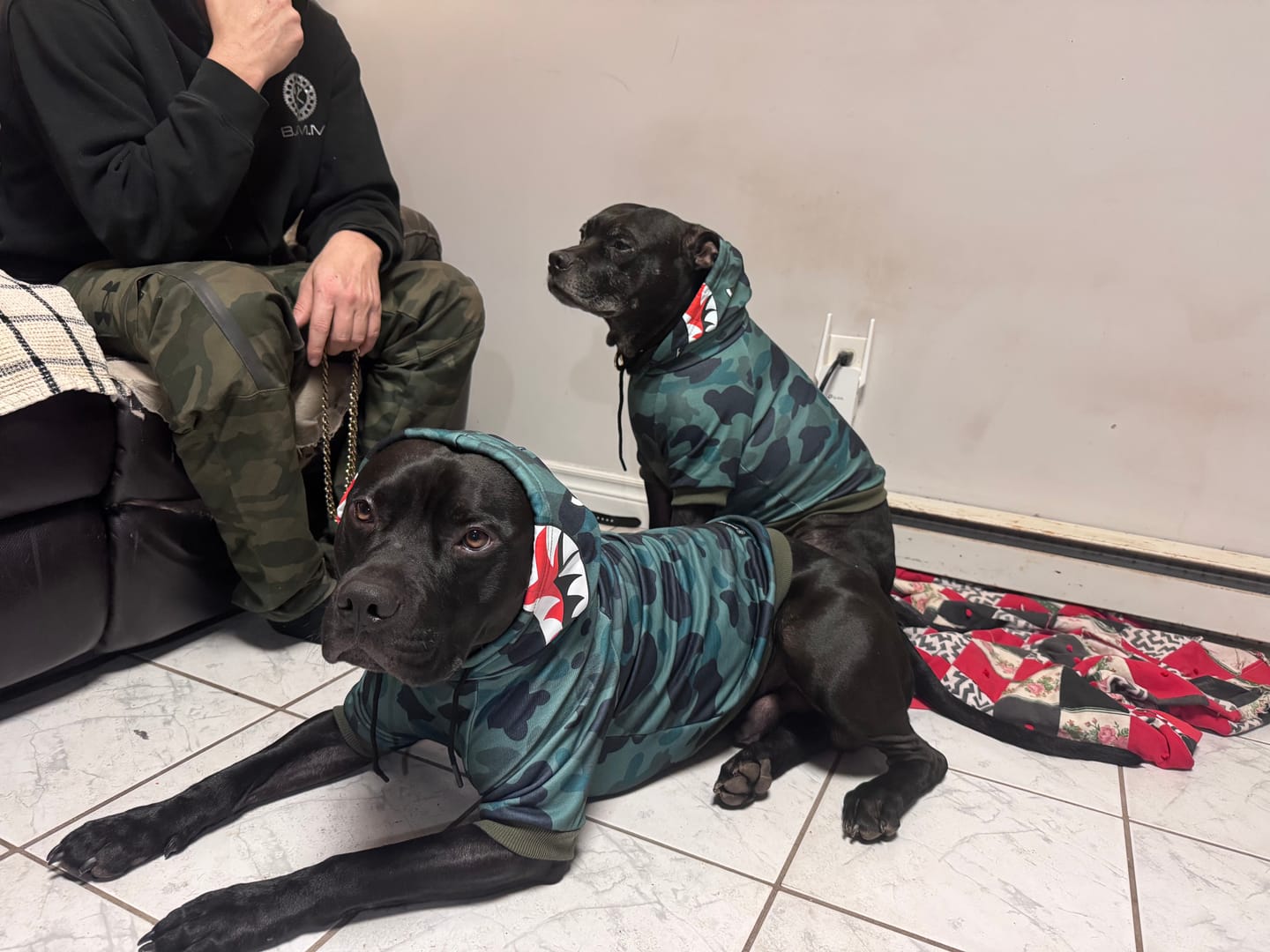 Customer photo review of Shark Monster Dog Hoodie - Green Camo