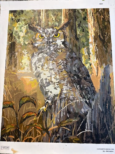Customer's completed Great Horned Owl paint-by-numbers canvas. The detailed owl has bright yellow eyes and sits in a forest.