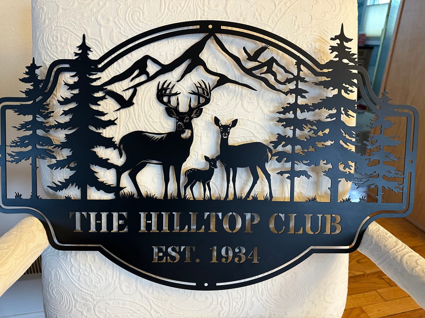 Customer photo review of Forest View Metal Sign