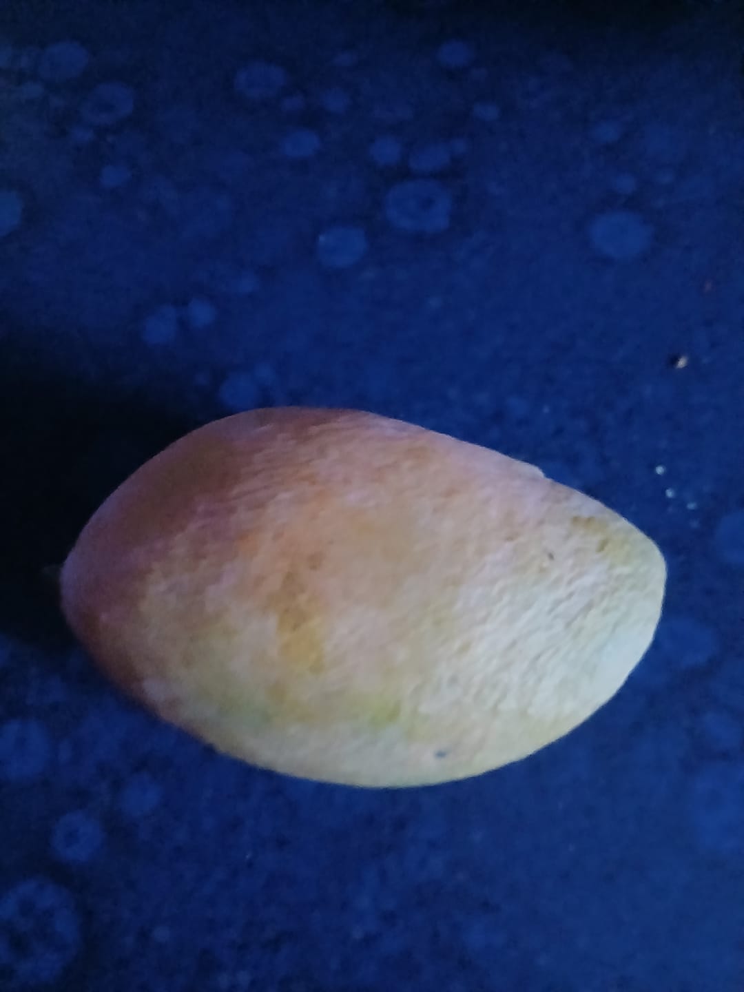 Customer photo review of Mango "Edward" Bio Flugware baumgereift