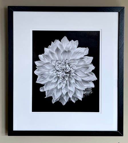 Customer photo review of 10x12 Giclee Fine Art Prints