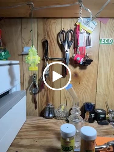 Customer video review of Zour Stash Strawberry Lemonade Pre-Roll 10ct