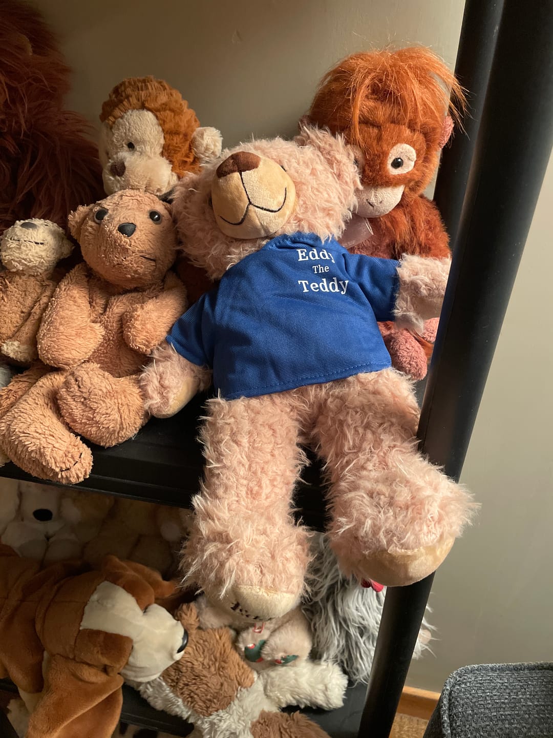 Customer photo review of Eddy The Teddy Bear