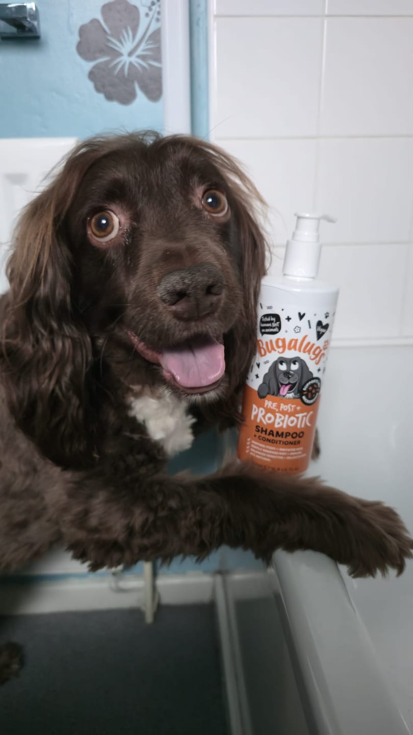Customer photo review of Pre, Post + Probiotic Shampoo for Dogs