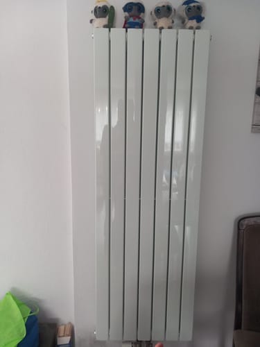 Customer photo review of SONNI Flach Heizkörper Paneelheizkörper Wandheizung Mittelanschluss 1600*539mm Weiß ohne/mit Mutiblock