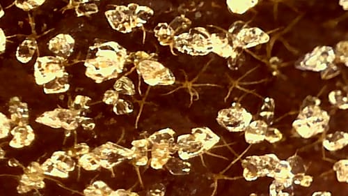 Rezensent zeigt eine extreme Nahaufnahme von Kristallen unter dem Edubini Abenteuer-Mikroskop.