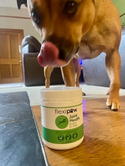 Customer photo review of Joint Health Powder for Dogs